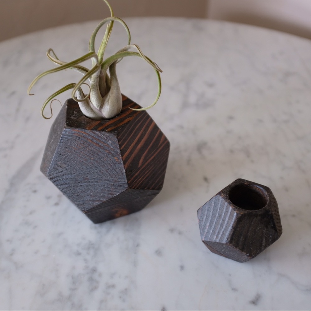 Geometric Wood Air Plant Objet Planters